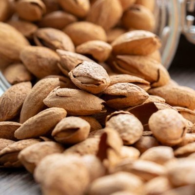 Suppliers of almond nuts