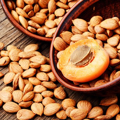 Suppliers of apricot kernels