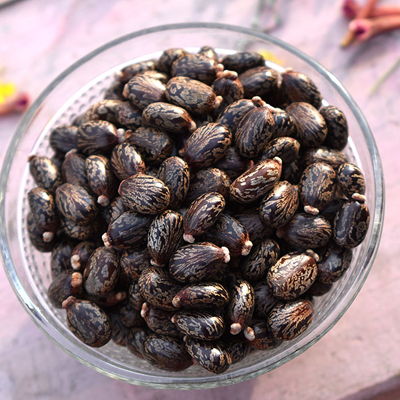 Suppliers of castor seeds